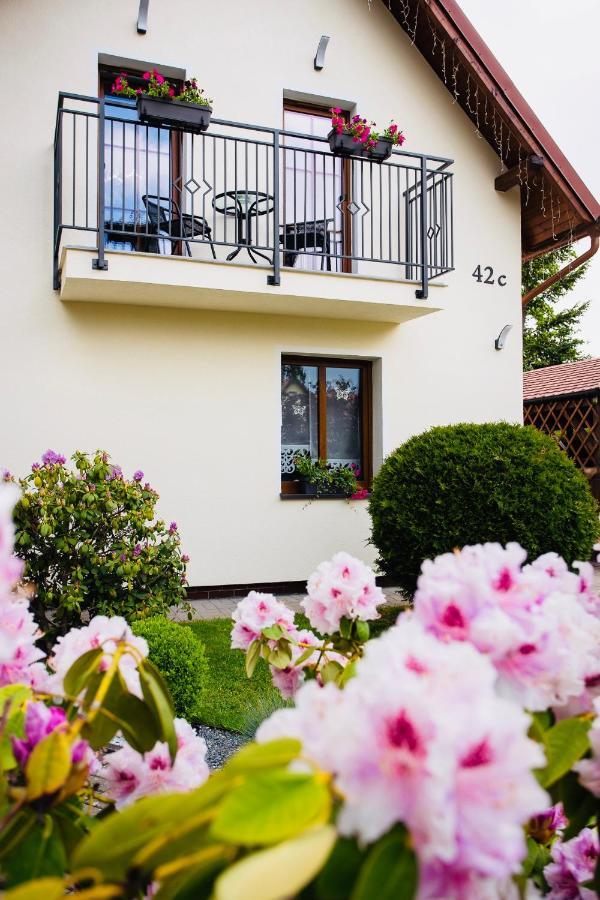 Apartamenty Pod Cisem Kudowa-Zdrój Buitenkant foto